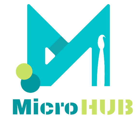 logo_MicroHub